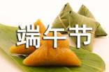 (精选)端午节作文