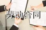 【实用】劳动合同(精选16篇)