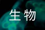 八年级生物下册《生物的遗传》的教案(通用6篇)