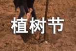 植树节演讲稿(精选22篇)