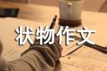 初中状物作文